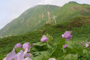 大千軒岳